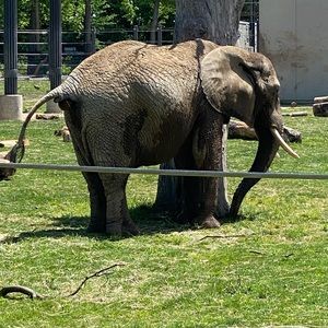 Meet your Posher, Dianna